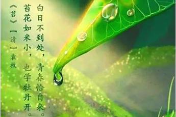 襄城县赵艳芳小学语文名师工作室