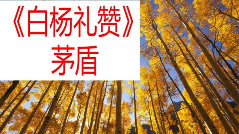 默认教学计划 