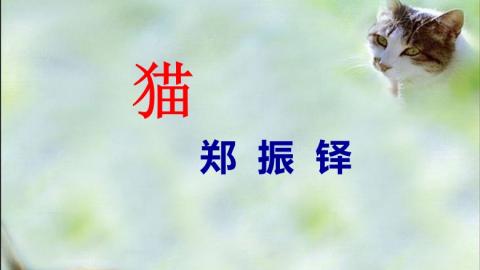 默认教学计划 