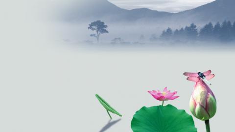 默认教学计划 