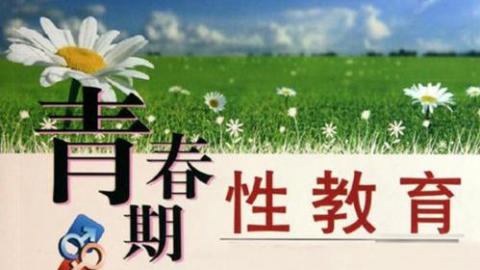 默认教学计划 