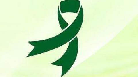 默认教学计划 