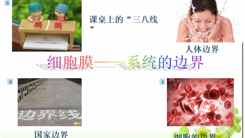 默认教学计划 