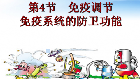 默认教学计划 