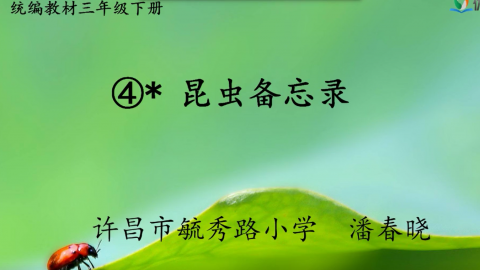 默认教学计划 