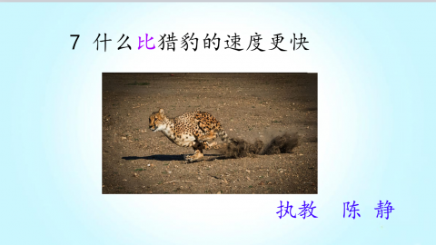 默认教学计划 
