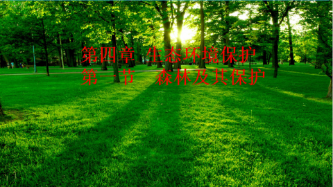 默认教学计划 