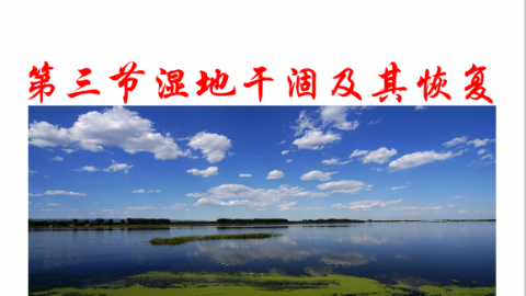 默认教学计划 